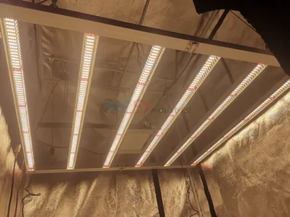 kind led xl1000 grow light 1000W