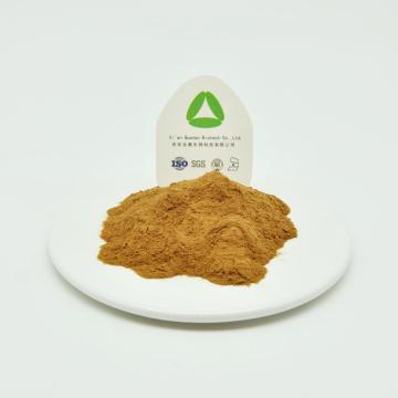 Keampferol 30 ٪ Sophora Fruit Extract Powder
