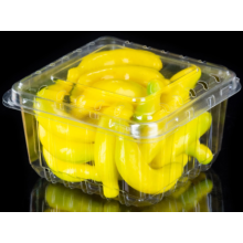 Embalagem de frutas refrigeradas recipiente fresco