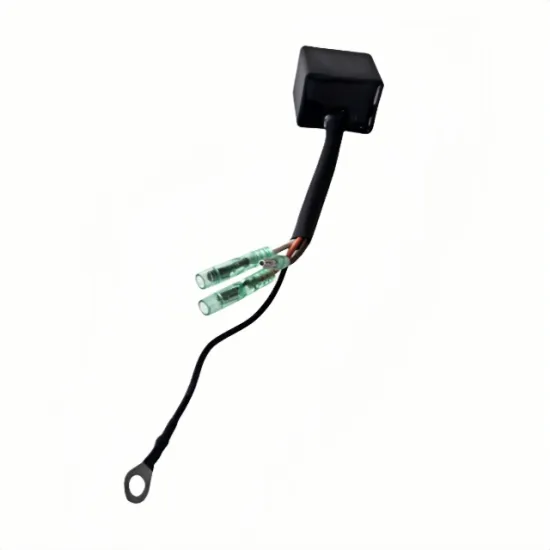 CDI for Yamaha Parsun Outboard 2HP 2B 2M 2 Stroke Engine