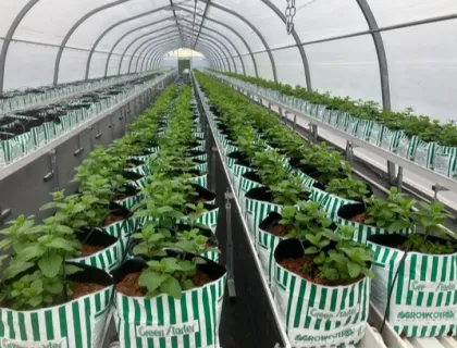 Custom NFT Channel for Hydroponics and Anti-UV PVC Gully