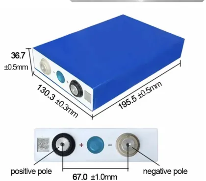 Lithium Ion and LiFePO4 Battery Packs for Electric Vehicles