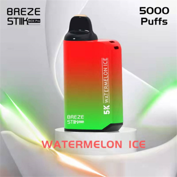 Breze Pro Mesh 5000 Puff descartável