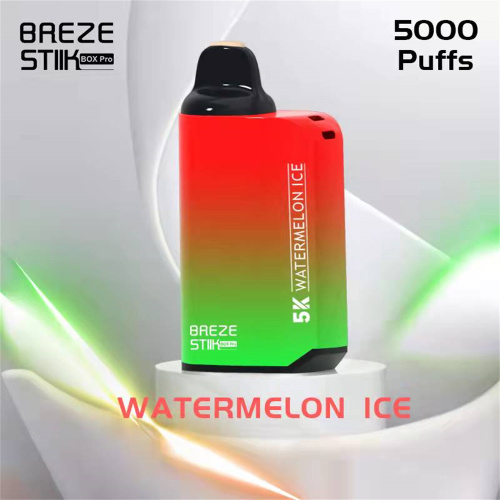 Breze pro Mesh 5000 Puff Disposable