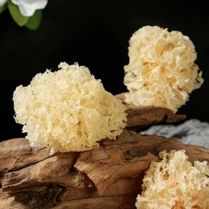 Organic Dried Tremella Mushroom - Golden Tremella Fungus Grown on Linden Wood