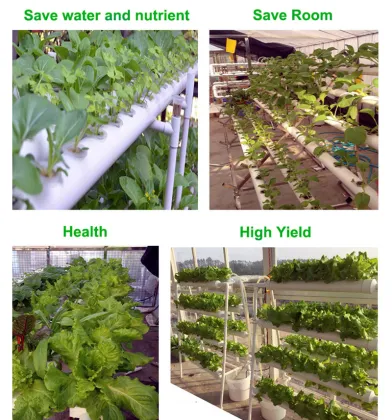 95W Mini Submersible Water Pump for Agricultural Hydroponics Irrigation