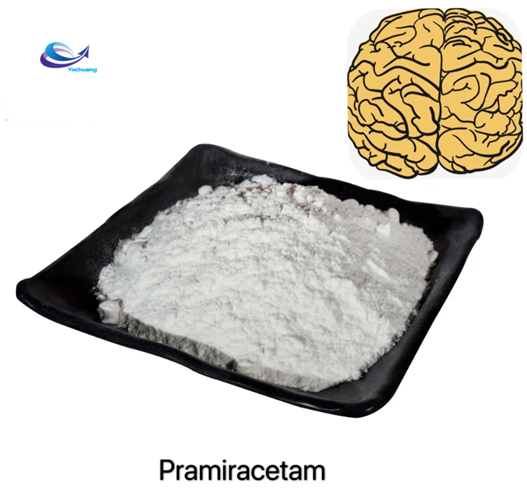 pramiracetam buy