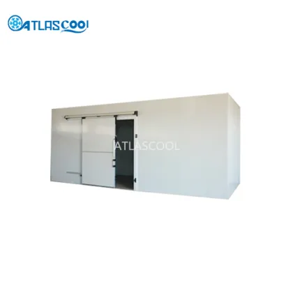 Industrial Prefabricated Cold Storage Rooms