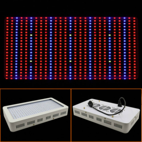 Hot Selling UL Listed Plant Grow LED-Beleuchtung