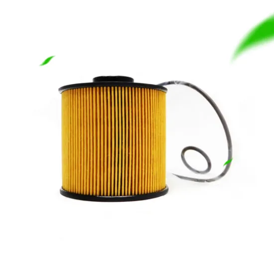 China Manufacturer Wholesale High Quality ME222135 Car Fuel Filter - In Stock
