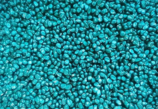 เมล็ดข้าวโพด corn seedings