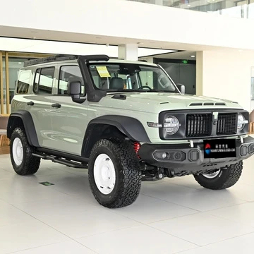 Tank 300  2024 2.0t Crosser Electric Fuel Automatic Gear Box Light Interior With Leather Seats Mult In stock Tank 300