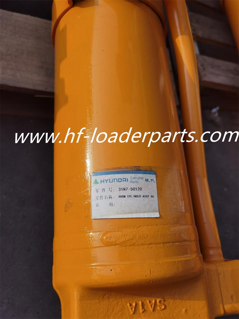 Hyundai ROBEX250LC-7 Hydraulic Cylinder 31N7-50120