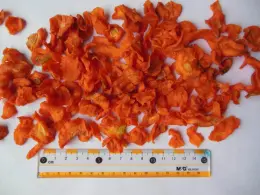 Dehydrated Carrot Granules Flakes Cubes Slice