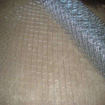 Kandang Ayam PVC Dilapisi Welded Wire Mesh