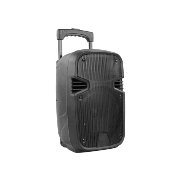 Temeisheng 8 Inch Outdoor Professional Speaker with Wireless Mic and Remote Control