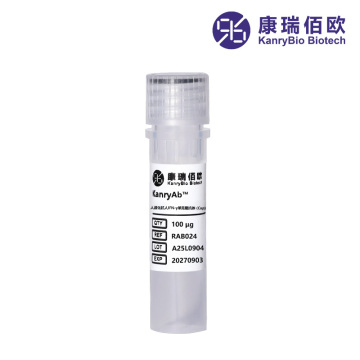 KanryAb™ mAb anti-umano IFN-γ umanizzato (tappo)