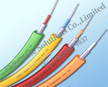 TEC cable (Tubing Encapsulated Cable)