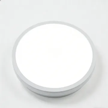 Decorative indoor ceiling light