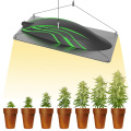 Plant Light Intensity Meter