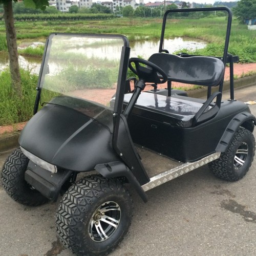 4 passenger off-road golf cart powered by gas