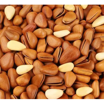 100g de pinhão delicioso