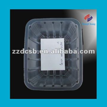 pp blister plastic tray for fruit