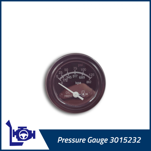 3015232 4VBE34RW3 مقياس الضغط