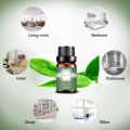 Factory supply 100%pure top Grade Ravensara essential oil