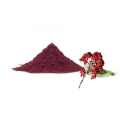 Natural Elderberry Powder Fruit Freeze Dried Powder Elderberry