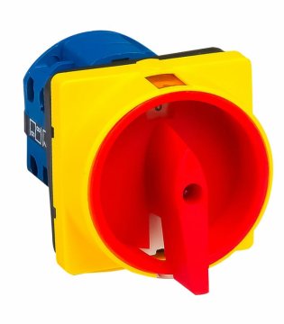 CA10GS series pad-lock type switches