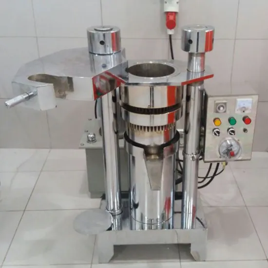 Electric Hemp Moringa Seed Oil Press Machine