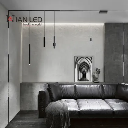 48V Magnetic Track Light System: LED Adjustable COB Track Lighting