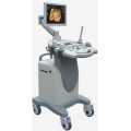 Color Doppler Ultrasound Diagnostic System Trolley