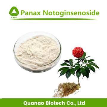 Radix Panax Notoginseng Powder Enhancing Immunity