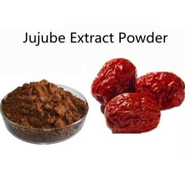 Buy online ingredients Jujube Extract Powder