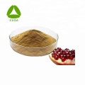 Pomegranate Peel Extract 40% Polyphenol Powder