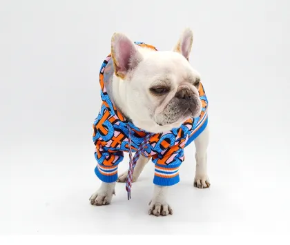 B print fat dog American cattle dog clothing