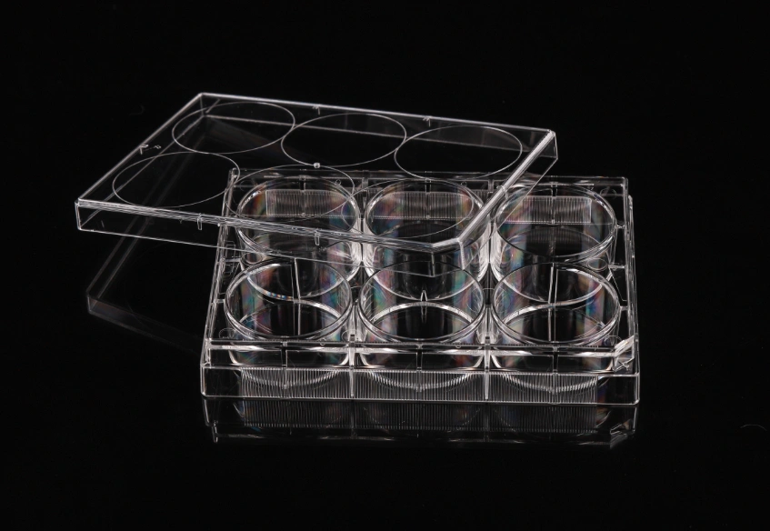 TC-Treated 6 well Cell Culture Plates China Manufacturer