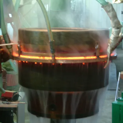 Hydraulic Rod Induction Through Heating Furnace