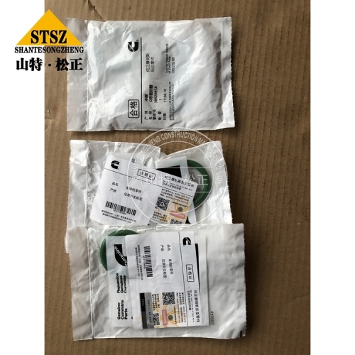 Cummins Spare Parts O Ring Seal 3892095
