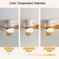 Simple ac copper motor plywood blades ceiling fan