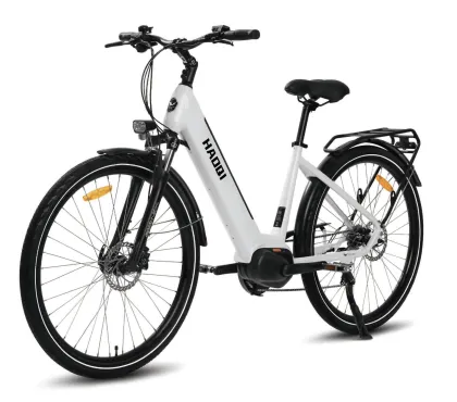 HAOQI Falke Step Thru Urban Commuter Electric Bike