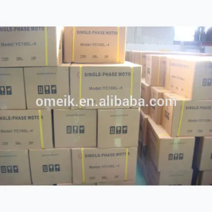 YC small electric fan motor