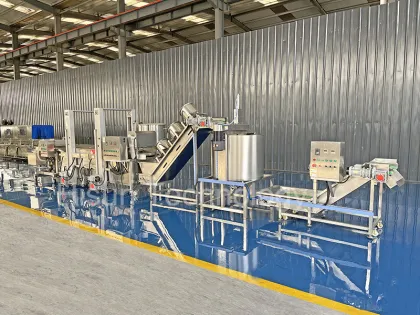 Continuous Fryer for Prawn Snacks and Potato Chips