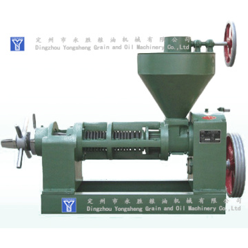 Cold Oil Extraction Avocado Oil Press Machine