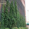 Malha de alpinista de jardins pesados