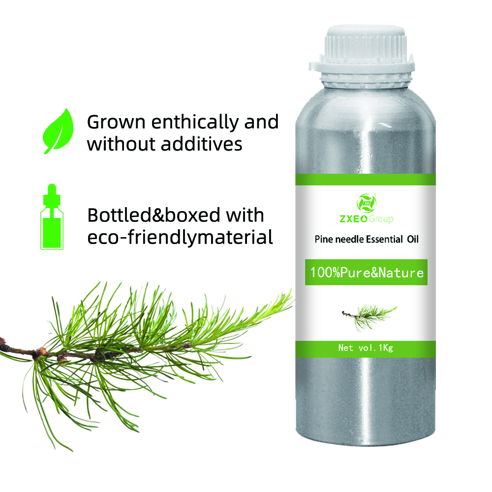 100% Pure And Natural Pine Needle Essential Oil High Quality Wholesale Bluk Essential Oil For Global Purchasers The Best Price