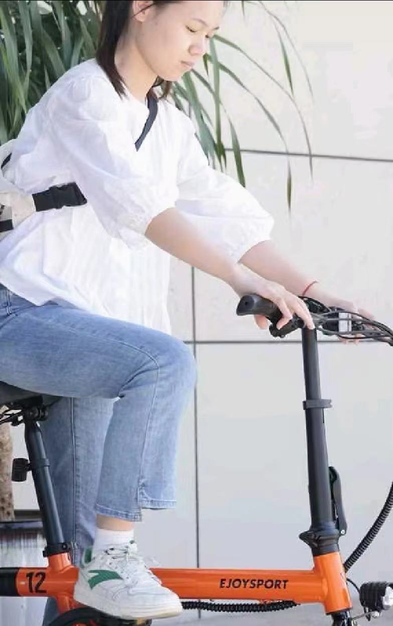 Folding Electric Bike