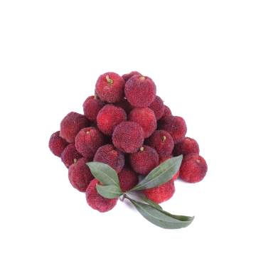 Fragrance bayberry buah berkualitas tinggi untuk konsentrasi e-liquid